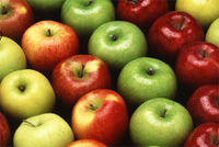 apples picture of apples
