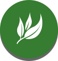 leaf icon