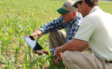 picture of 2 men taking picture of a crop in the field