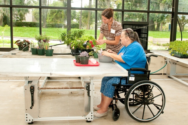 picture of a woman in a wheel chair table gardening