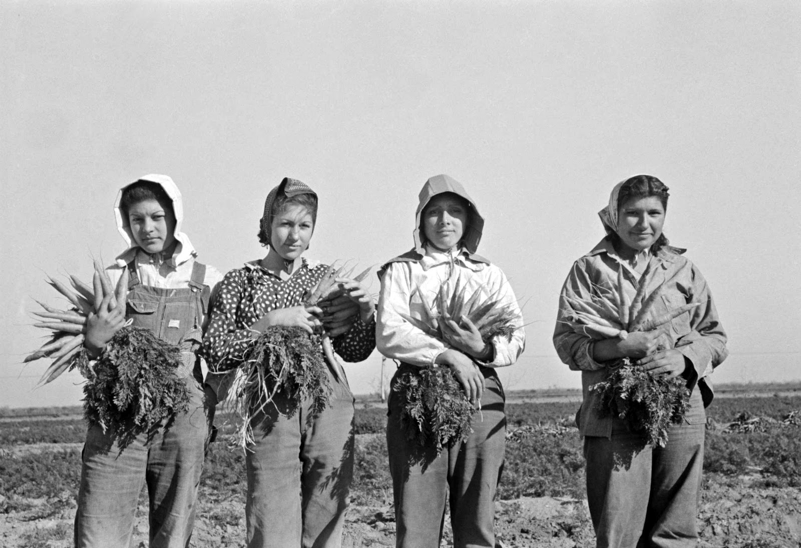 picture of mexican women harvesting carrots
