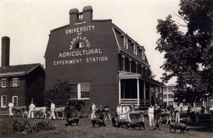 historical picture of UMD ag exp. station