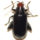 Red headed flea beetle