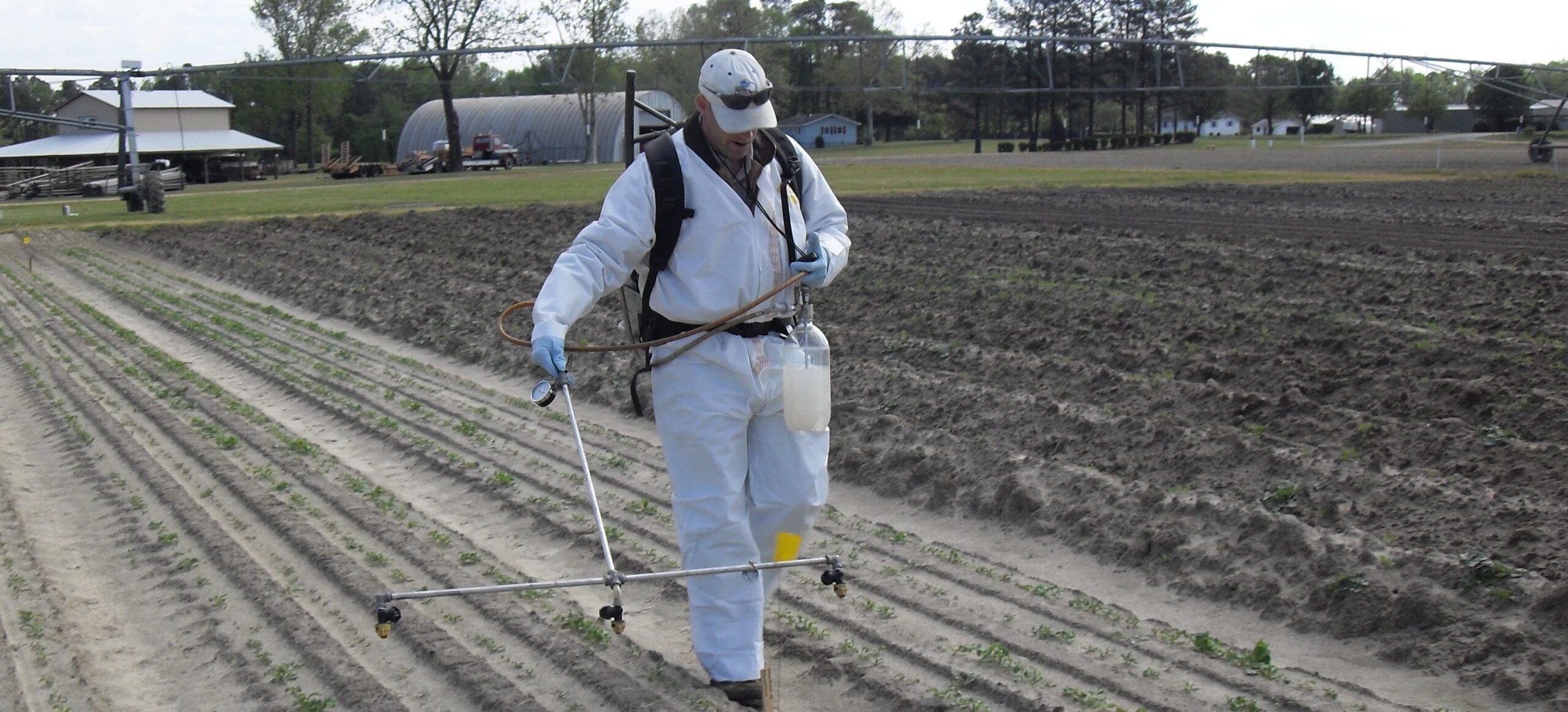 Person walking in a field applying a pest management product