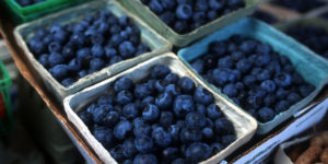 OBJ.blueberries
