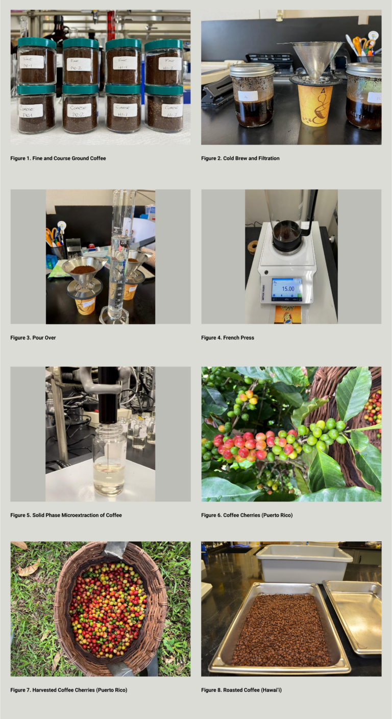 Live from the Lab: A Collegial Caffeine Content Competition in Coffee ...