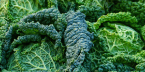 fall food footers-2 fall food footers-2