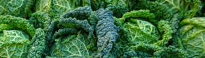 fall food footers-2