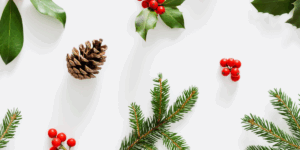 Holiday Tidbits Feature Image Holiday Tidbits Feature Image