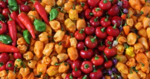randy-fath-ZaLUzigr0mc-unsplash (1) Image of colorful red, yellow, orange and green peppers