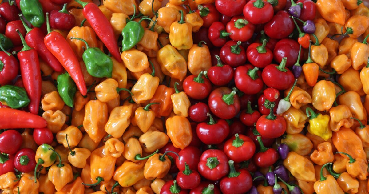 Image of colorful red, yellow, orange and green peppers