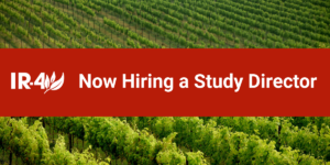 Hiring - Study Director-3 (1) Hiring - Study Director-3 (1)