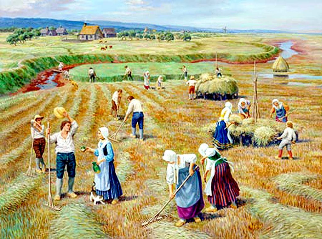 Cartoon of early Americans harvesting grain